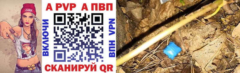 A PVP СК КРИС  Рубцовск 