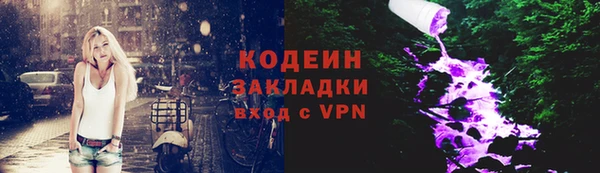 крисы Абаза