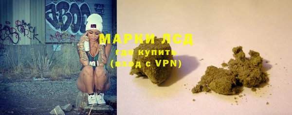 крисы Абаза