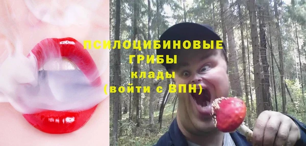 кокс Алзамай