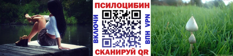 Псилоцибиновые грибы Cubensis  купить закладку  Рубцовск 
